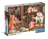 puzzle-1000-compact-curious-whiskers-37107