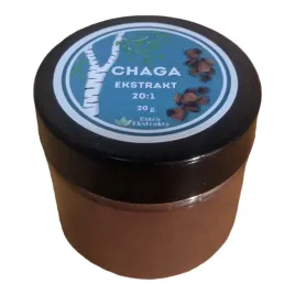 chaga-ekstrakt-wzmocnienie-odpornosci-blyskoporek-podkorowy-antyoksydacja