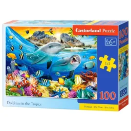 puzzle-100-dolphins-in-the-tropics