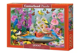 puzzle-2000-rhythm-of-nature
