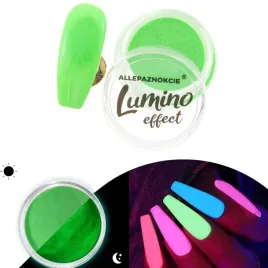 pylek-swiecacy-w-ciemnosci-fluo-lumino-effect-12