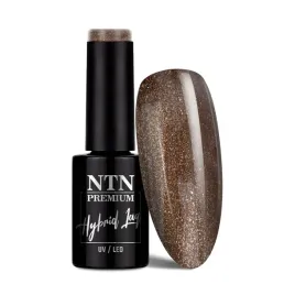 lakier-hybrydowy-ntn-premium-fiesta-collection-5g-nr-81