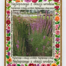 ciastko-lukrowane-zyczenia-kwiaty-ogrod-roz-xl-pion-no-4a-recznie-robione