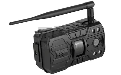 fotopulapka-redleaf-rd6300-lte