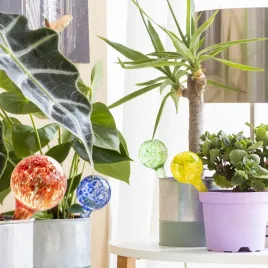 automatyczne-kule-nawadniajace-ballwooters-innovagoods-4-sztuk