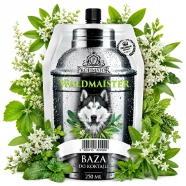syrop-barmanski-baza-koncentrat-profimator-waldmaister-250-ml