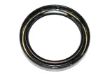 zimering-uszczelniacz-bmw-e53-x5-e60-e61-e63-e64-e65-e70-e81-24317519352-rodzaj-skrzyni-brak-informacji