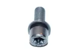 sruba-torx-z-podkladka-bmw-e30-e39-e46-e60-e90-f10
