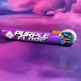flara-jorge-jf48-purple-1szt