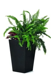 doniczka-tworzywo-sztuczne-szary-curver-285-cm-x-285-x-435-cm