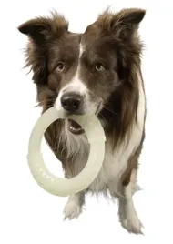 zabawka-dla-psa-swiecaca-w-ciemnosci-or-kiwi-ring-18cm-or-unosi-sie-na-wodzie