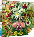 puzzle-1000-ernst-haeckel-orchidea