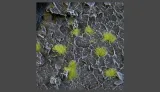 gamer-s-grass-tiny-light-green-2mm