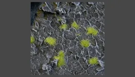 gamer-s-grass-tiny-light-green-2mm