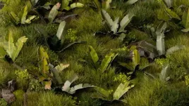gamer-s-grass-laser-plants-banana-tree-bananowiec