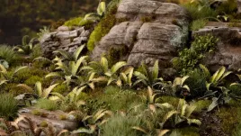 gamer-s-grass-laser-plants-deer-fern-podrzen-zebrowiec