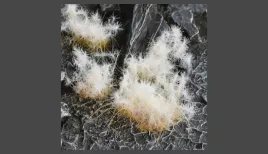 gamer-s-grass-spikey-winter-12mm