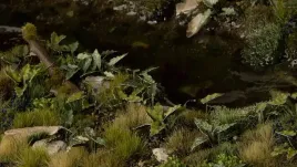 gamer-s-grass-laser-plants-lords-and-ladies-obrazki-plamiste