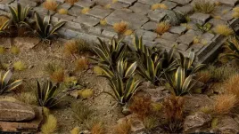 gamer-s-grass-laser-plants-agave-agawa