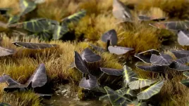 gamer-s-grass-laser-plants-black-magic-taro-kolokazja-black-magic