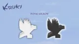 kruki-nazwa-kruki-stan-nowy