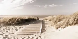 fototapeta-500x254-tapeta-na-flizelinie-boho-f039