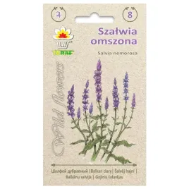 szalwia-omszona-fioletowa-ozdobna-bylina-miododajna