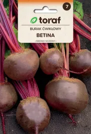 burak-cwiklowy-betina-nasiona-10g-toraf-12