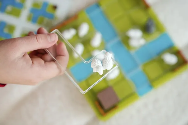 smart-games-counting-sheep-stan-nowy-wydawca-iuvi-games