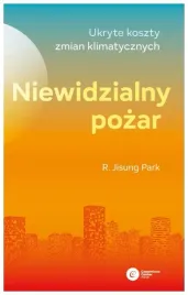 niewidzialny-pozar-ukryte-koszty-zmian