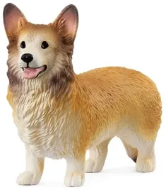 corgi