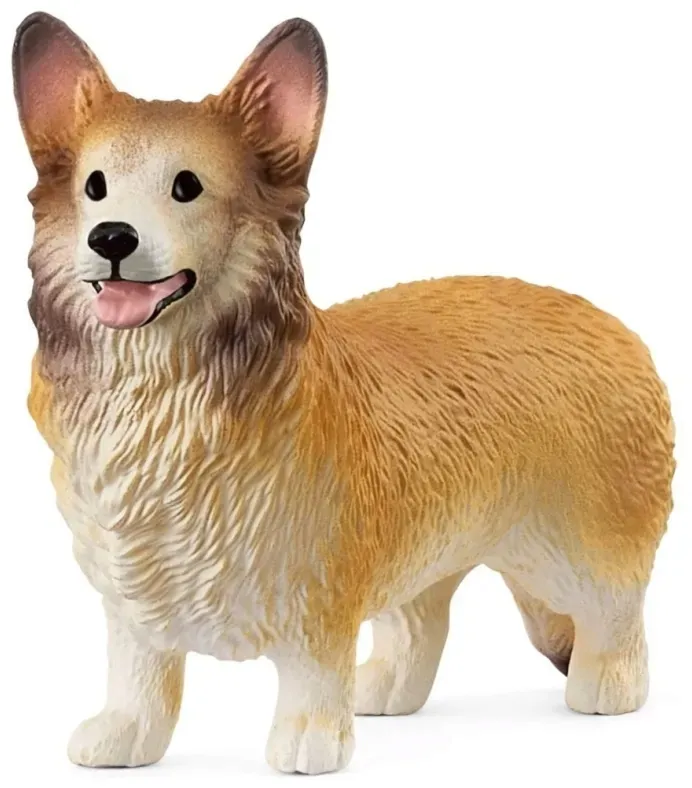 corgi
