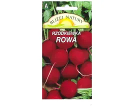 rzodkiewka-okragla-rowa-czerwona