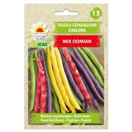 nasiona-warzyw-fasolka-szparagowa-karlowa-mix-odmian-smaczna