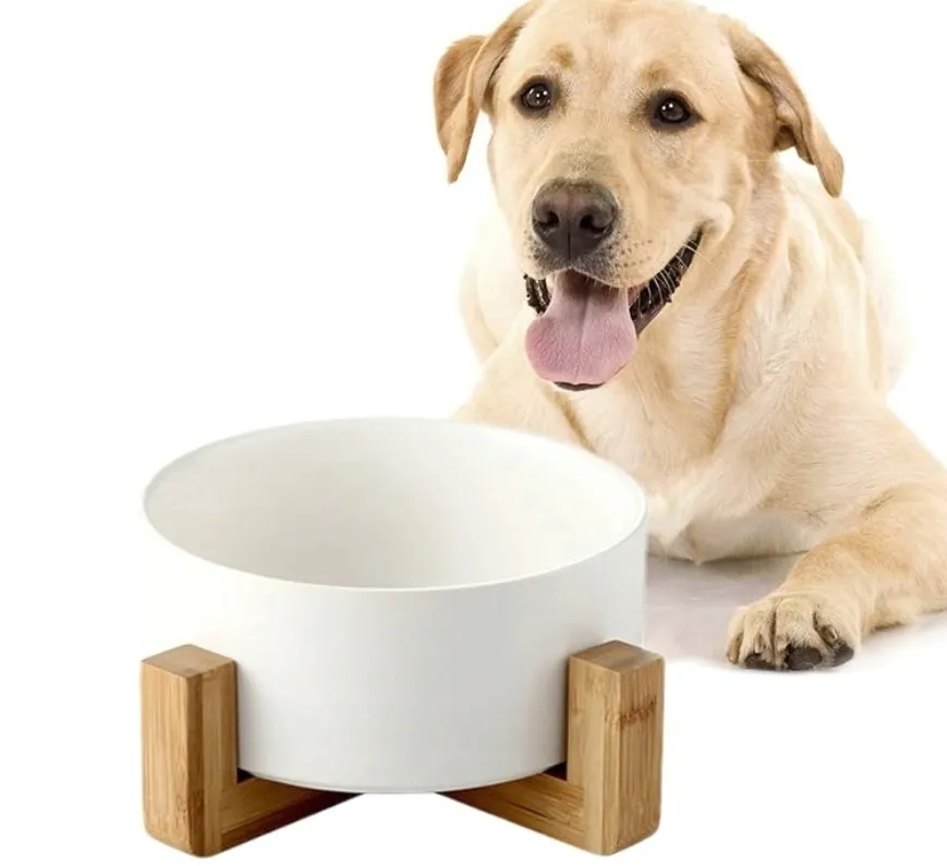 ceramiczna-miska-dla-psa-lub-kota
