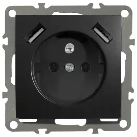 quadra-gniazdko-z-bolcem-2x-usb-do-ramek-230v-2-1a