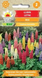 lubin-letni-1g-nasiona-mieszanka-mix-kolorow-kwiaty-lubinu-gesty-na-rabaty