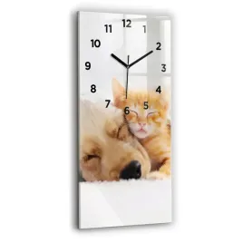 elegancki-pionowy-foto-zegar-szklany-na-sciane-spiacy-kot-i-pies-30x60-cm