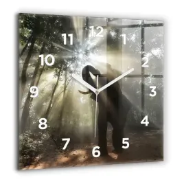 kwadratowy-foto-zegar-szklany-do-kuchni-na-sciane-slon-w-dzungli-60x60-cm
