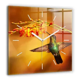 designerski-kwadratowy-foto-zegar-szklany-do-wnetrz-koliber-ptak-60x60-cm
