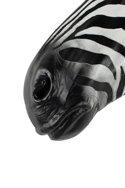 kare-dekoracja-scienna-zebra