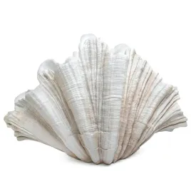 kare-wazon-dekoracyjny-concha-57-cm