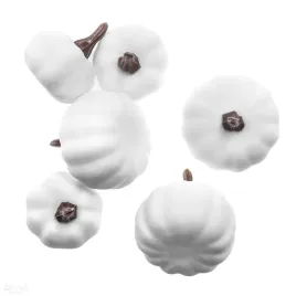mini-dynie-mix-6szt-biale-dpcraft-dekoracje-jesienno-halloweenowe-ozdoba
