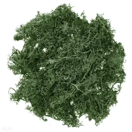 mech-ciemnozielony-30g-dpcraft-ozdobny-dekoracyjny-naturalny-home-decor
