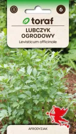 nasiona-ziol-lubczyk-ogrodowy-ziola-toraf-299