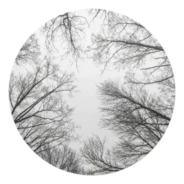 mata-ochronna-na-panele-parkiet-podloge-w-biurze-nagie-galezie-drzew-fi-100