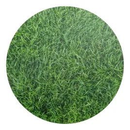 okragla-mata-pod-krzeslo-komputerowe-fotel-gamingowy-soczysta-trawa-fi-100