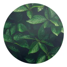 okragla-mata-ochronna-pod-fotel-biurko-na-kolkach-liscie-w-gestwinie-fi-100