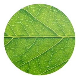 okragla-mata-ochronna-pod-krzeslo-fotel-gamingowy-lisc-w-zblizeniu-fi-100