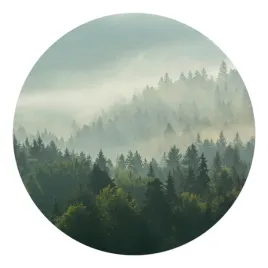 mata-ochronna-pod-krzeslo-podkladka-pod-fotel-mglisty-las-o-swicie-fi-100